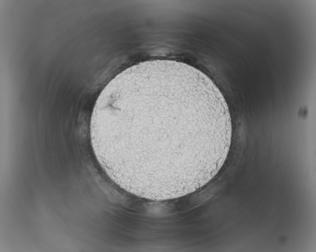 X0000110950273200907311049