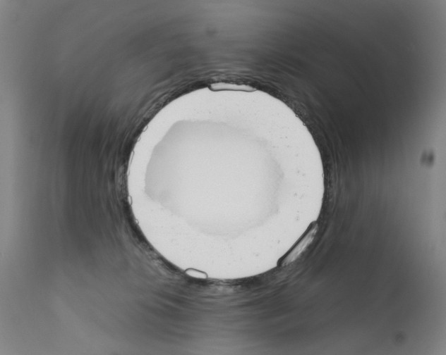 X0000110950276200907311049