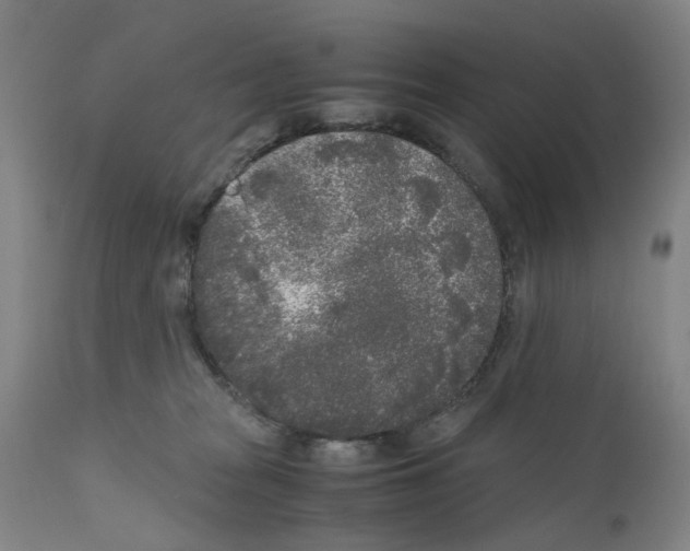 X0000110950277200907311049