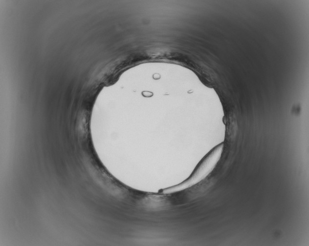 X0000110950280200907311049
