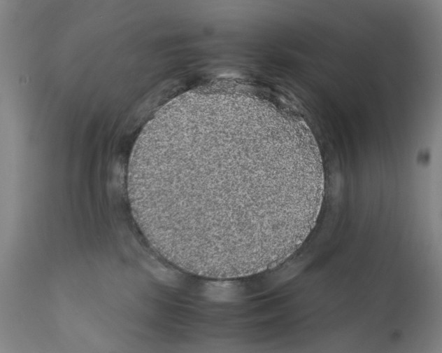 X0000110950281200907311049