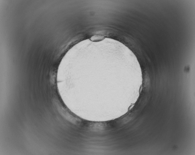 X0000110950282200907311049