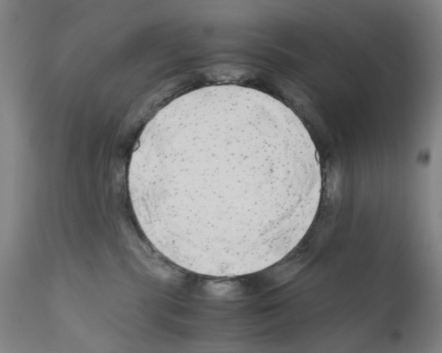X0000110950283200907311049