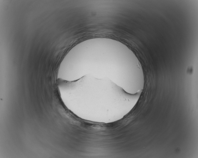 X0000110950284200907311049