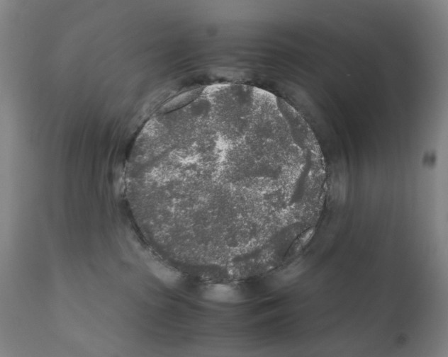 X0000110950285200907311049
