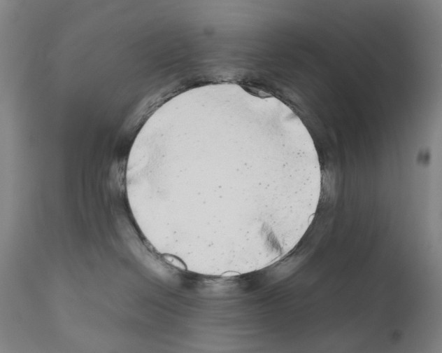 X0000110950286200907311049