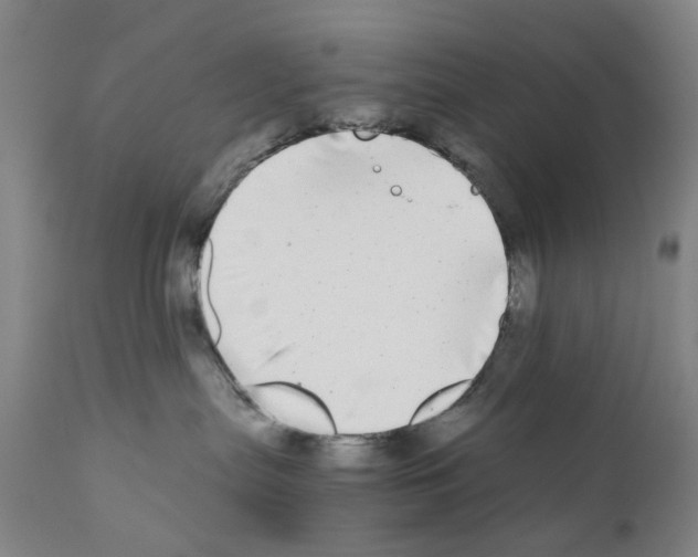 X0000110950287200907311049