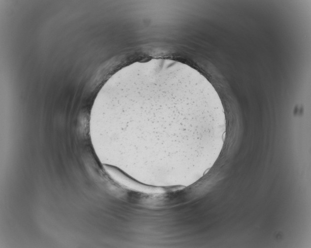 X0000110950288200907311049