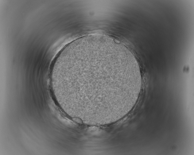 X0000110950290200907311049