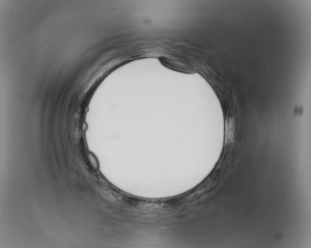 X0000110950291200907311049