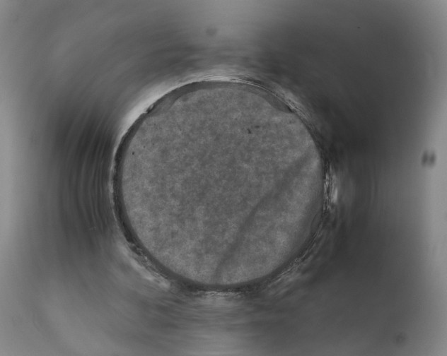 X0000110950292200907311049
