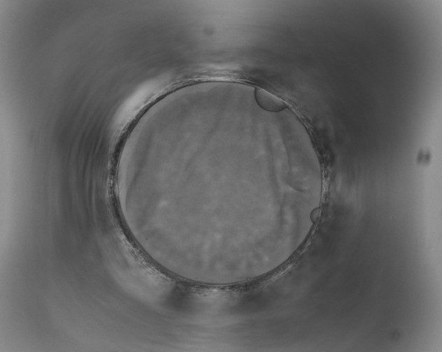 X0000110950293200907311049