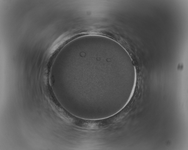 X0000110950295200907311049