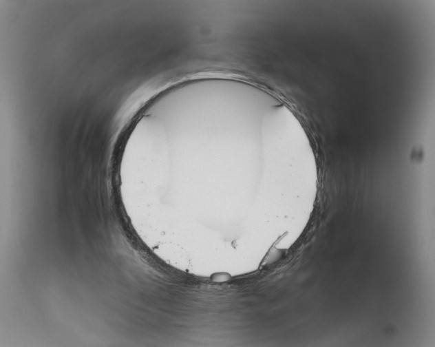 X0000110950296200907311048
