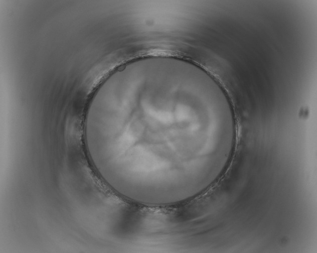 X0000110950297200907311048