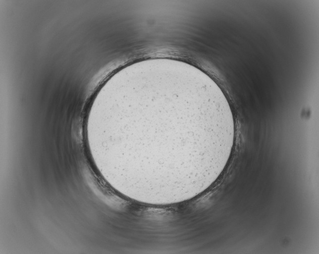 X0000110950298200907311048