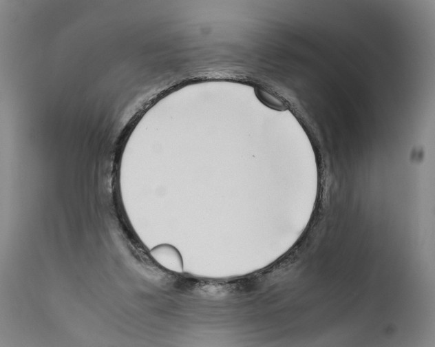 X0000110950299200907311048