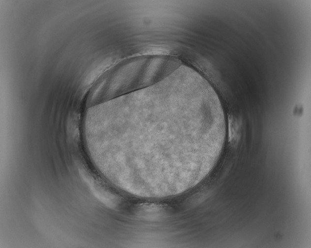 X0000110950300200907311048