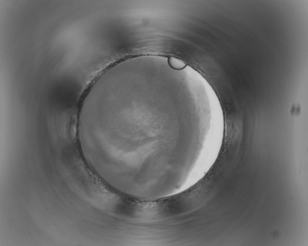 X0000110950301200907311048