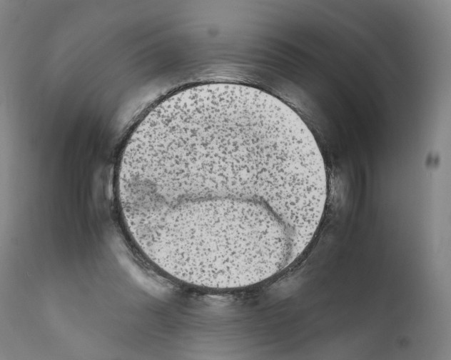 X0000110950302200907311048