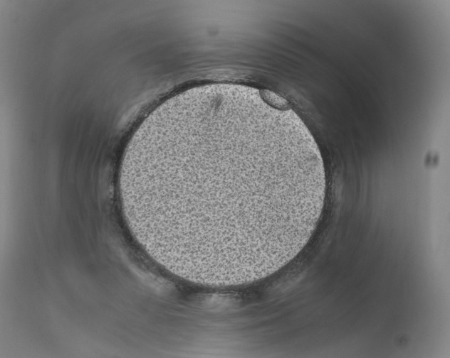 X0000110950303200907311048