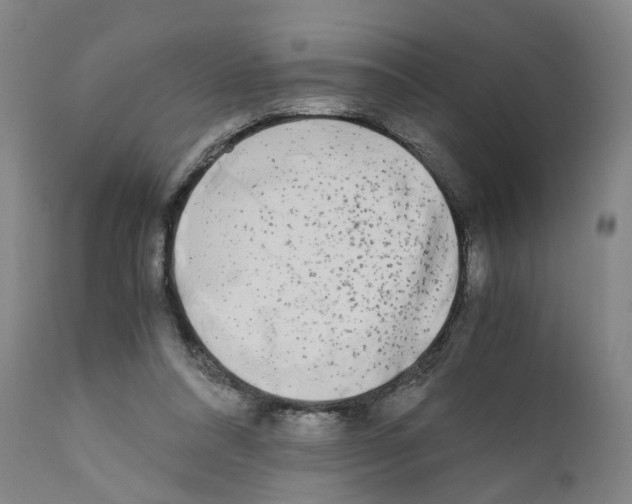 X0000110950304200907311048