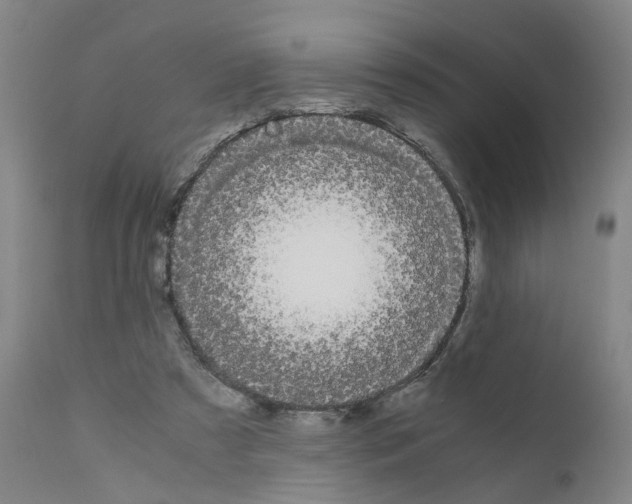 X0000110950305200907311048