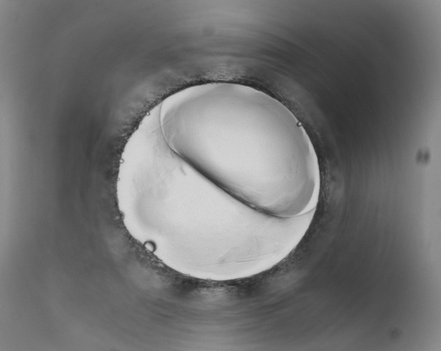 X0000110950307200907311048