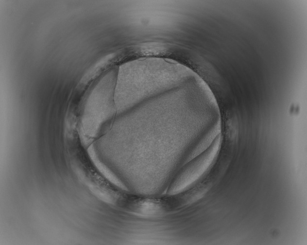 X0000110950308200907311048