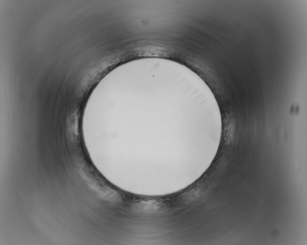 X0000110950310200907311048