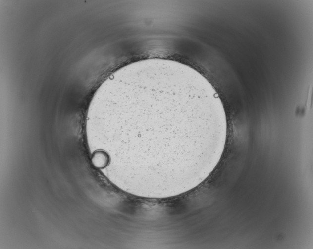 X0000110950311200907311048