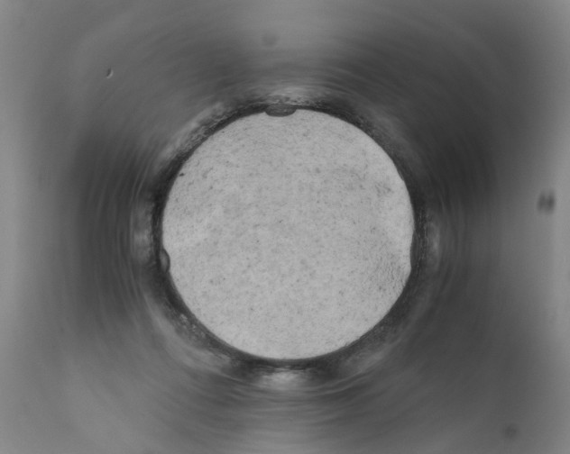 X0000110950312200907311048
