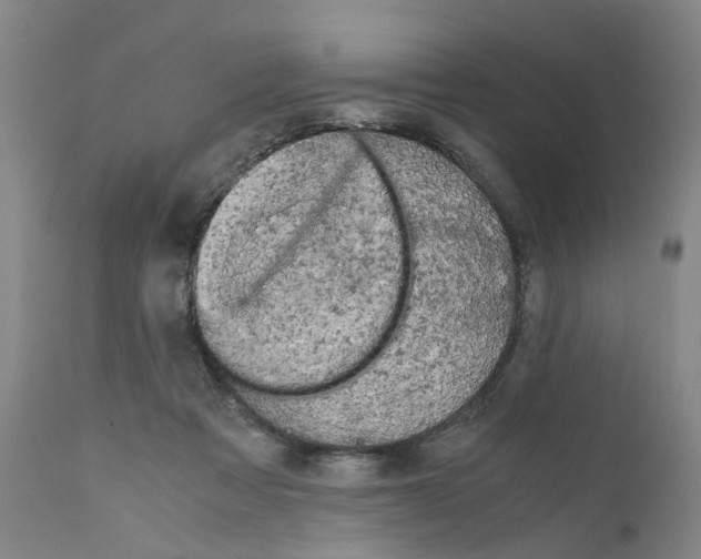 X0000110950313200907311048