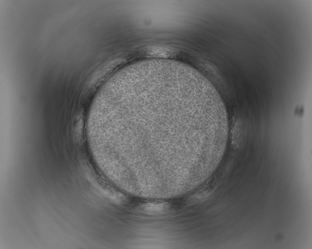 X0000110950314200907311048