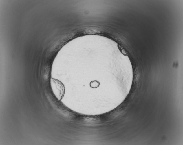 X0000110950315200907311048