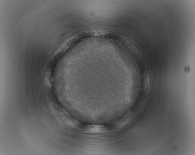 X0000110950316200907311048