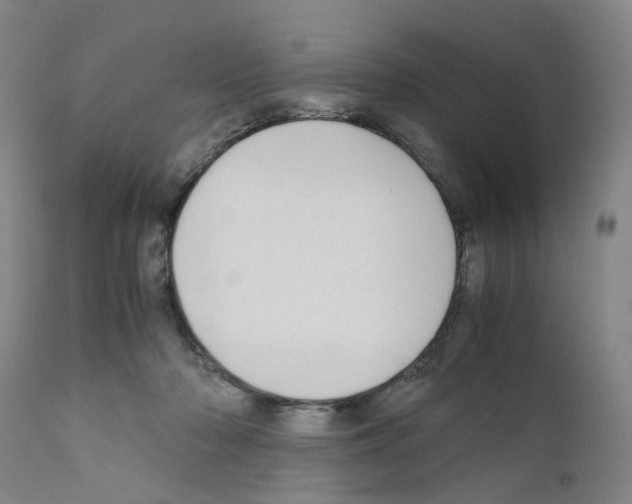 X0000110950318200907311048