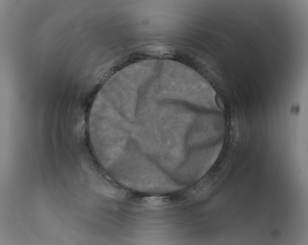 X0000110950320200907311048