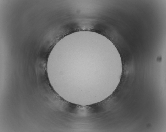 X0000110950321200907311048