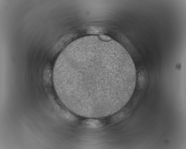 X0000110950322200907311048