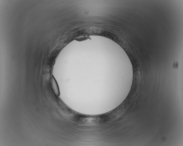 X0000110950323200907311048