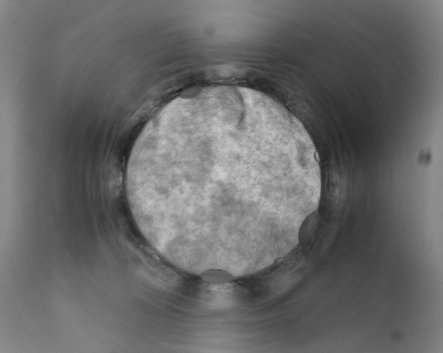 X0000110950324200907311048