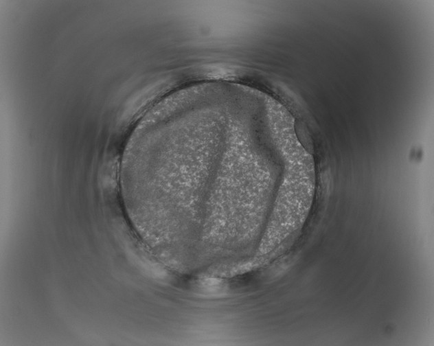 X0000110950325200907311048