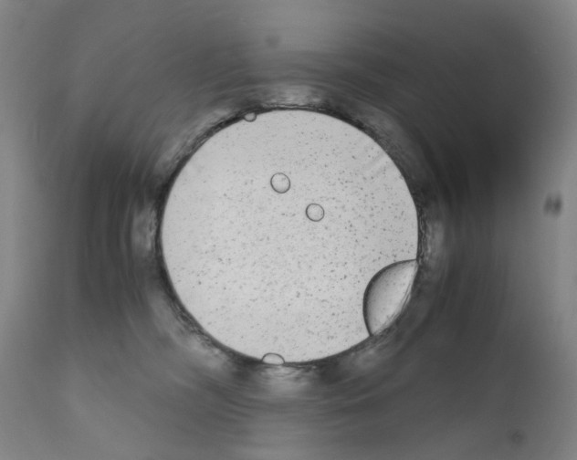 X0000110950326200907311048