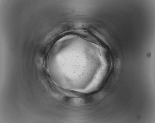 X0000110950327200907311048