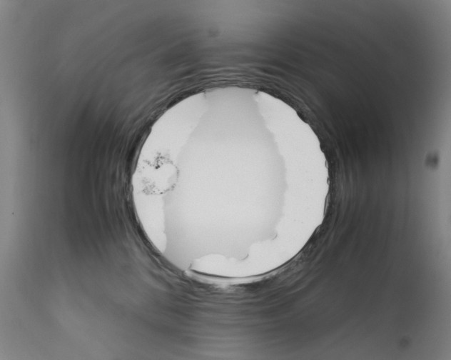 X0000110950328200907311048