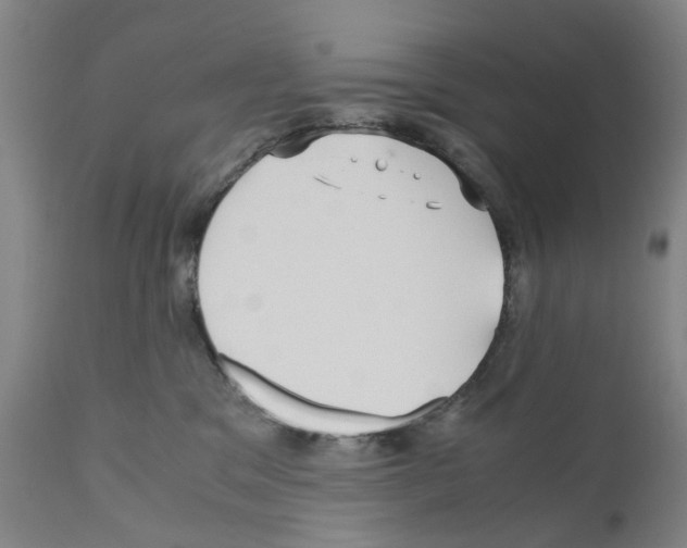 X0000110950329200907311048
