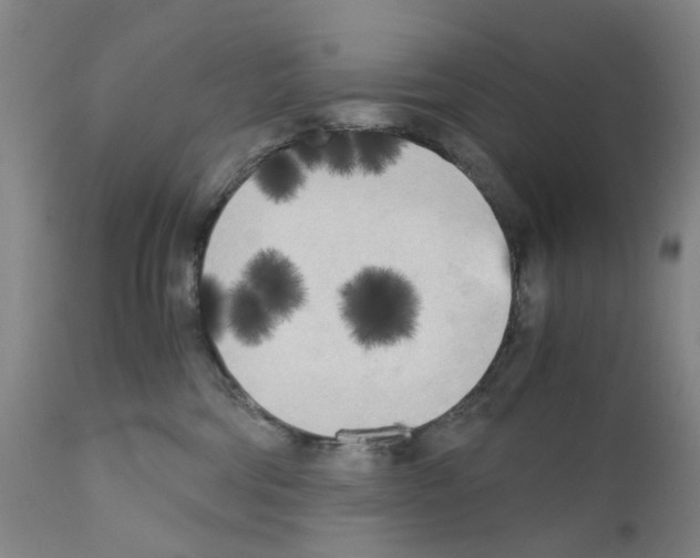 X0000110950330200907311048