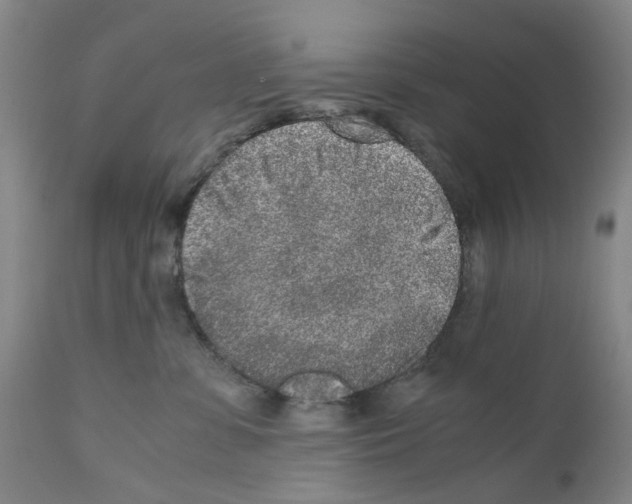 X0000110950331200907311048