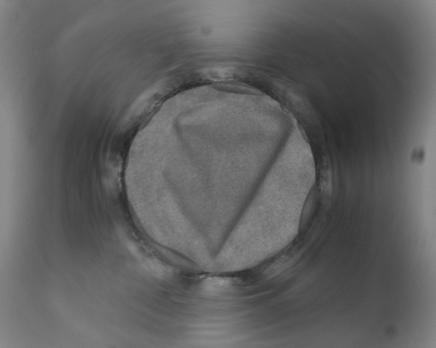 X0000110950332200907311048